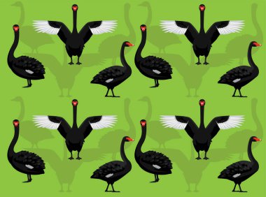 Siyah Kuğu Çizgi Filmi Karakteri Kusursuz Duvar Kağıdı Arkaplanı