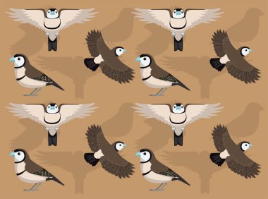 Baykuş Finch Çizgi Film Karakteri Kusursuz Duvar Kağıdı Arkaplanı