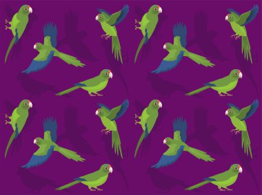 Papağan Yarım Ay Conure Çizgi Film Karakteri Kusursuz Duvar Kağıdı Arkaplanı