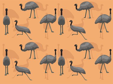 Emu Uçamayan Kuş Çizgi Film Karakteri Kusursuz Duvar Kağıdı Arkaplanı