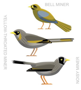 Avustralya Kuşu Madenci Set Çizgi film Vektörü