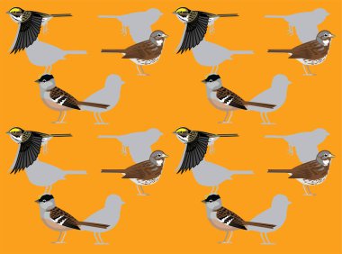 Fox Sparrow Kuş Çizgi Filmi Karakteri Kusursuz Duvar Kağıdı Arkaplanı