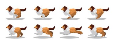 Collie Koşan Kenar Çizgi Film Canlandırma Çerçeve Vektörü