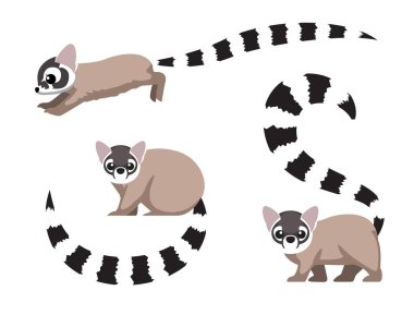 Halka Kuyruklu Çizgi Film Karakter Vektörünü Durdurdu