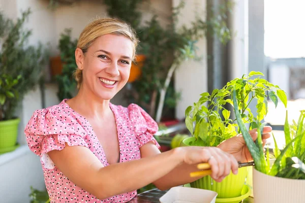 自宅のバルコニーでハッピーな女性ガーデニング 彼女は彼女のアロエベラの植物を世話しています — ストック写真