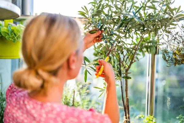 Frau Bei Der Gartenarbeit Auf Dem Heimischen Balkon Sie Kümmert — Stockfoto