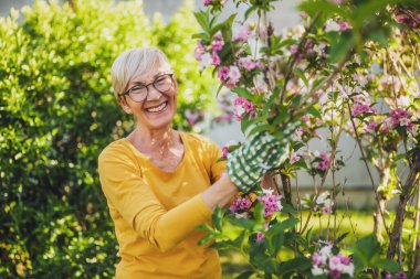 Mutlu yaşlı kadın bahçesindeki çiçeklere bakmaktan hoşlanıyor..