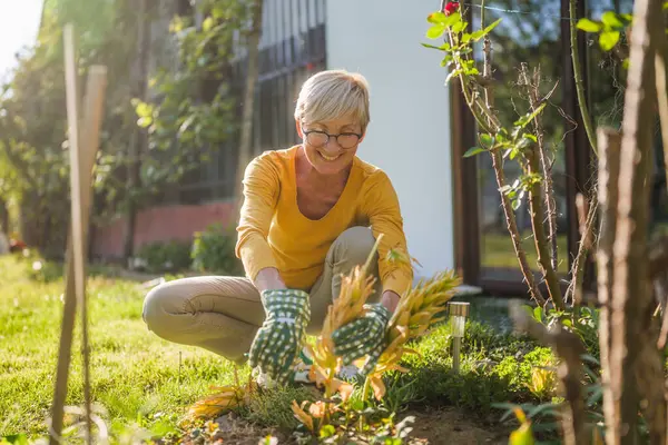 Happy Senior Woman Gardening She Pruning Plants — Stock Photo, Image