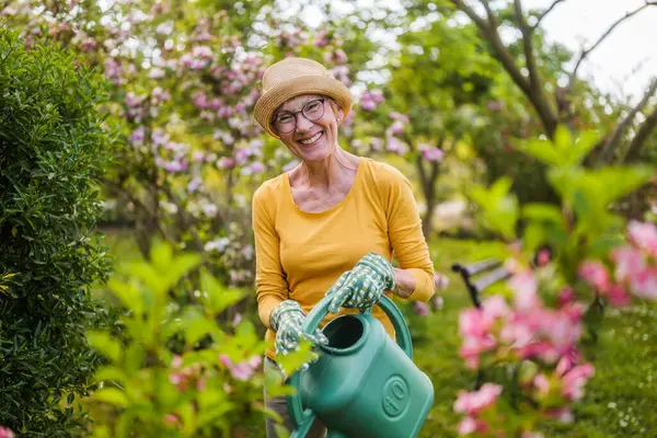 ハッピーシニアの女性は彼女の庭の水やり植物を楽しんでいます ストック画像