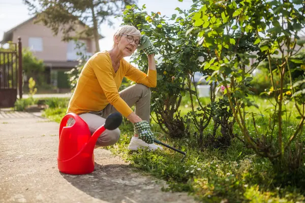 Seniorin Fühlt Sich Müde Und Hat Schmerzen Körper Bei Gartenarbeit lizenzfreie Stockfotos
