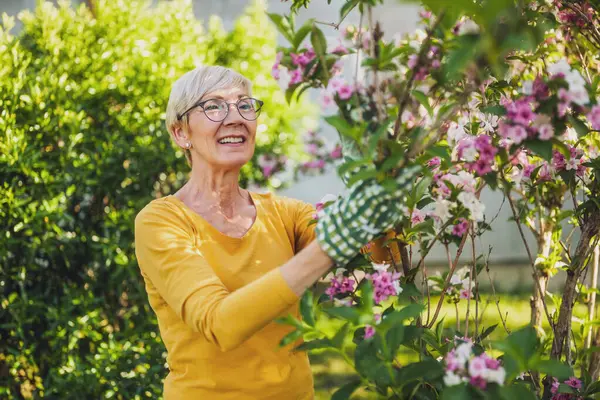 Gelukkig Senior Vrouw Geniet Van Kijken Naar Bloemen Haar Tuin Rechtenvrije Stockafbeeldingen