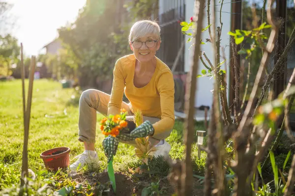 庭でガーデニングするハッピーな女性 彼女は花を植えている ストックフォト