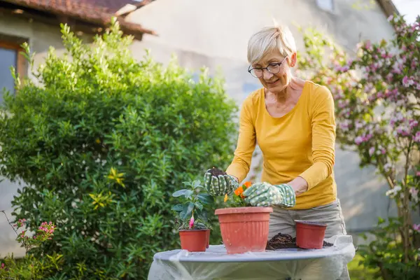 庭でガーデニングするハッピーな女性 彼女は花を植えている ロイヤリティフリーのストック画像