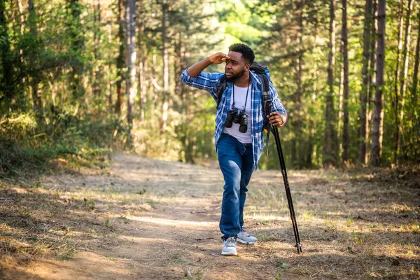Joven Excursionista Perdió Mientras Caminaba Naturaleza Imagen De Stock