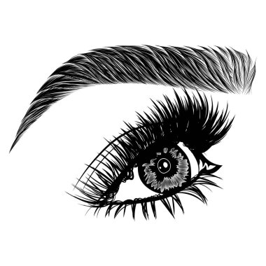 Kadın gözü, kirpikleri ve kaşları olan bir resim. Gerçekçi seksi makyaj görünüşü. Dövme tasarımı. Kaş barı veya kırbaç salonu logosu.