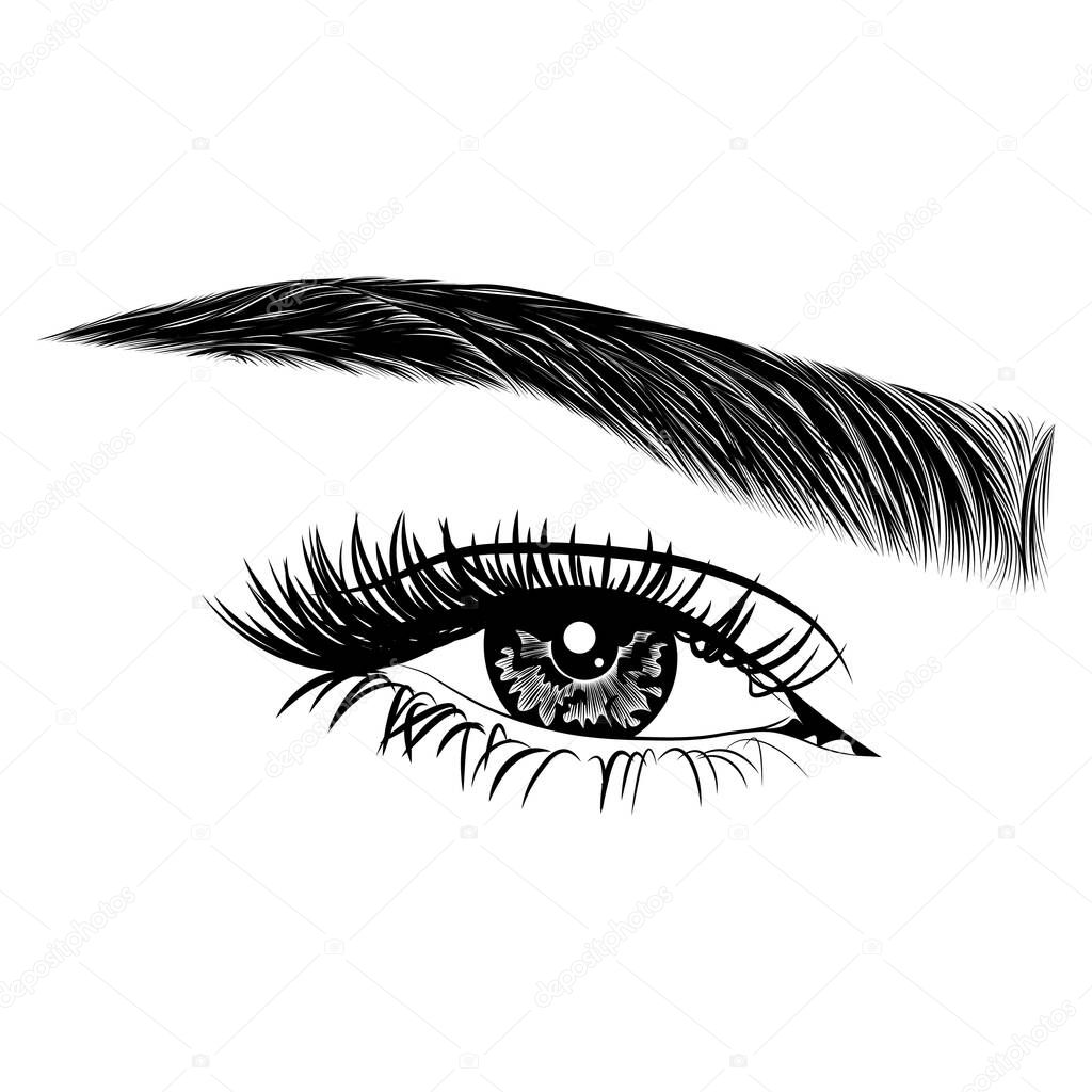 Illustration with woman's eye, eyelashes and eyebrow. Realistic sexy makeup look. Tattoo design. Logo for brow bar or lash salon.