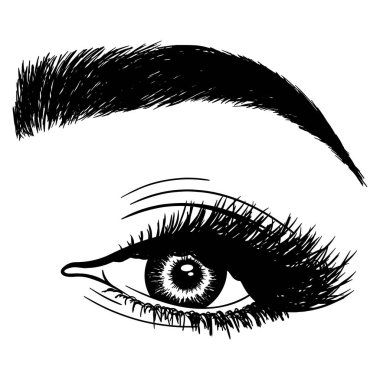 Kadın gözü, kirpikleri ve kaşları olan bir resim. Makyaj. Bak. Dövme tasarımı. Kaş barı veya kırbaç salonu logosu.