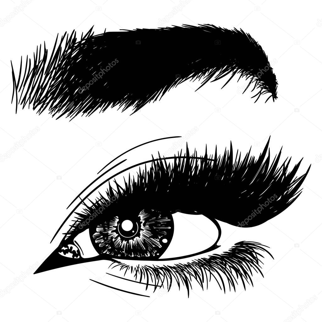 Illustration with woman's eye, eyelashes and eyebrow. Makeup Look. Tattoo design. Logo for brow bar or lash salon.