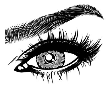 Kadın gözü, kirpikleri ve kaşları olan bir resim. Makyaj. Bak. Dövme tasarımı. Kaş barı veya kırbaç salonu logosu.