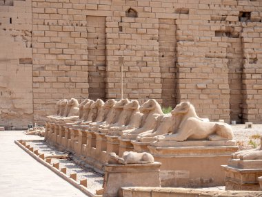 Mısır, Luxor 'daki Karnak Tapınağı' nda Ram başlı sfenkslerin bulvarı.