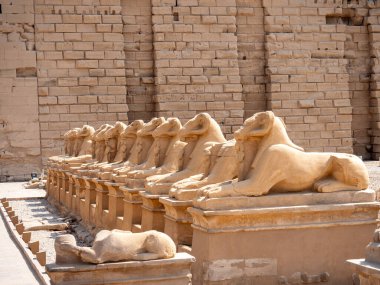 Mısır, Luxor 'daki Karnak Tapınağı' nda Ram başlı sfenkslerin bulvarı.