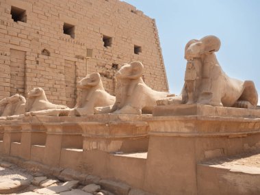 Mısır, Luxor 'daki Karnak Tapınağı' nda Ram başlı sfenkslerin bulvarı.