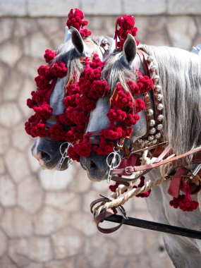 Malaga Panayırı 'ndaki yük atları için eyerli atlar.