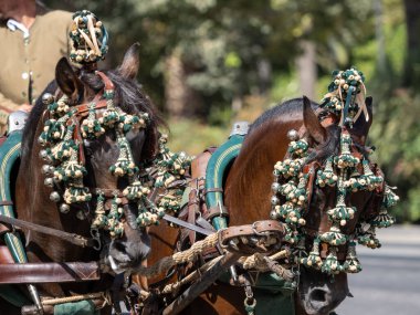 Malaga Panayırı 'ndaki yük atları için eyerli atlar.