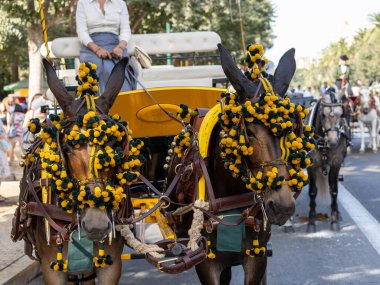 Malaga 'daki fuarda taşıyıcı katırların başındaki süsler.