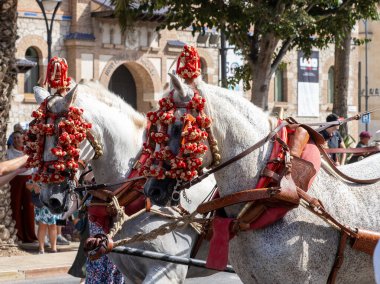 Malaga 'daki fuarda taşıyıcı katırların başındaki süsler.