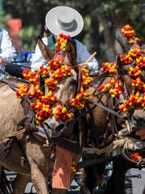 Malaga 'daki fuarda taşıyıcı katırların başındaki süsler.