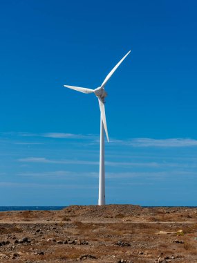 Wind farm with turbine fans as a renewable energy alternative