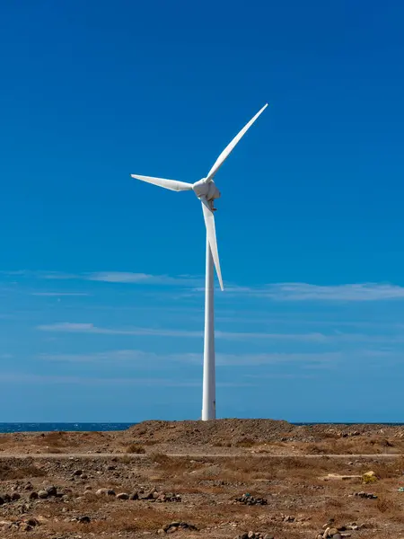Wind farm with turbine fans as a renewable energy alternative