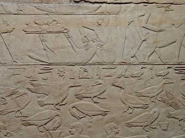 stock image Animals reliefs from the interior of the Tomb of Kagemni Egypt