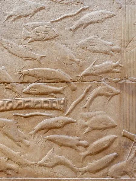 stock image Fish reliefs from the interior of the Tomb of Kagemni Egypt