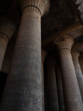 Edfu Mısır 'daki tanrı Horus' un tapınağının içindeki sütunlar.