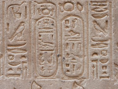 Edfu Mısır 'daki Tanrı Horus' un tapınağının taş duvarlarına Mısır hiyeroglifleri kazınmış.