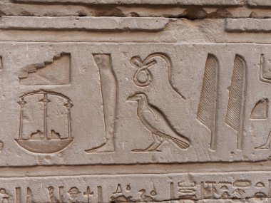 Edfu Mısır 'daki Tanrı Horus' un tapınağının taş duvarlarına Mısır hiyeroglifleri kazınmış.