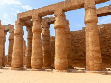 Tapınağın panoramik görüntüsü ve Mısır 'daki Luxor sütunları