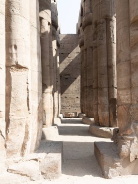 Tapınağın panoramik görüntüsü ve Mısır 'daki Luxor sütunları