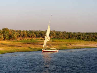 Büyük Nil Nehri 'nden Mısır' a yelken açan bir adam manzarası