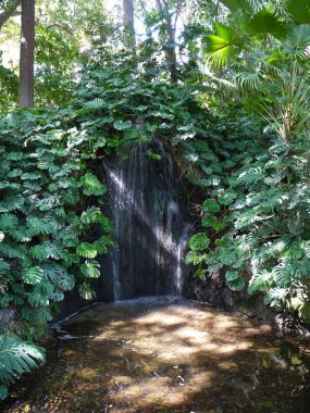 Malaga 'daki Concepcion' un Tarihi Botanik Bahçesi 'ndeki bitkilerle çevrili bir şelale..