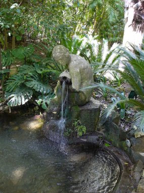 Malaga Concepcion 'un Nimph Fountain Garden Botanik Tarihi Çeşmesi çevresi bitkilerle çevrili. Çeşme yeşil çalılarla çevrili ve taş tabanlı..