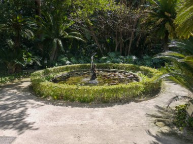 Malaga Concepcion 'un Triton Fountain Garden Botanik Tarihi Çeşmesi çevresi bitkilerle çevrili. Çeşme yeşil çalılarla çevrili ve taş tabanlı..