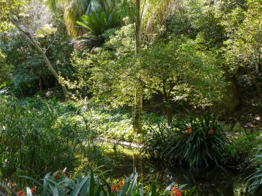 Malaga 'daki La Concepcion Botanik Bahçesi' nin panoramik manzarası.
