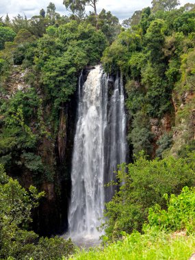 Aberdare Dağı 'nda Thomson Kenya kataraktı