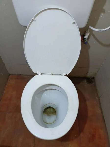 Ülőke Fürdőszobában Fehér Színű Borostyán — Stock Fotó