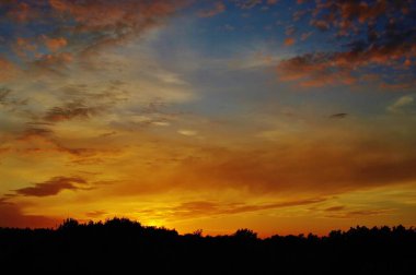 Ormanın arkasında gün batımı