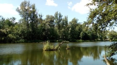 Ormanda göl, mavi gökyüzü