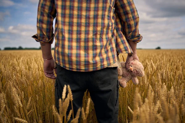 stock image A man stands in a field with wheat and a childs toy in his hand. High quality photo